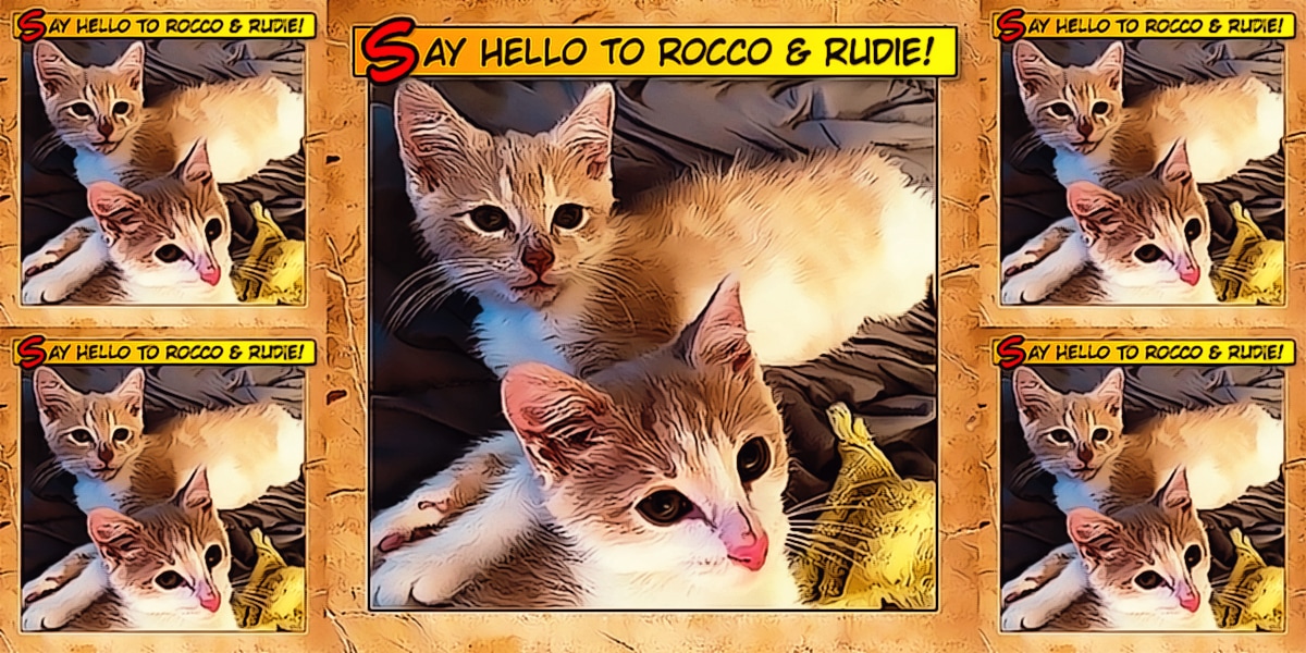 Say Hello To Rocco & Rudie 2