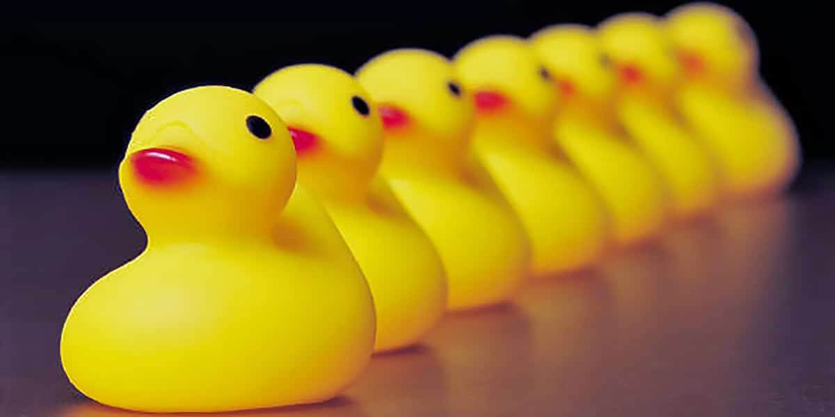 Do You Have Your Ducks In A Row?