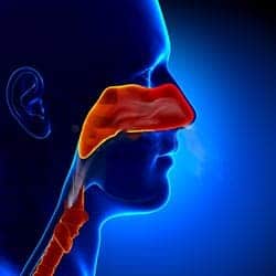 Sinonasal Sarcoidosis: Getting My Nose Out Of Joint