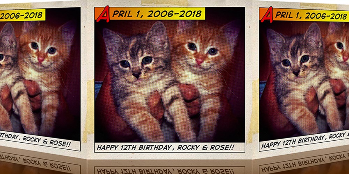 Rock & Ro!! Birthday: Rocky And Rose @ 12 91