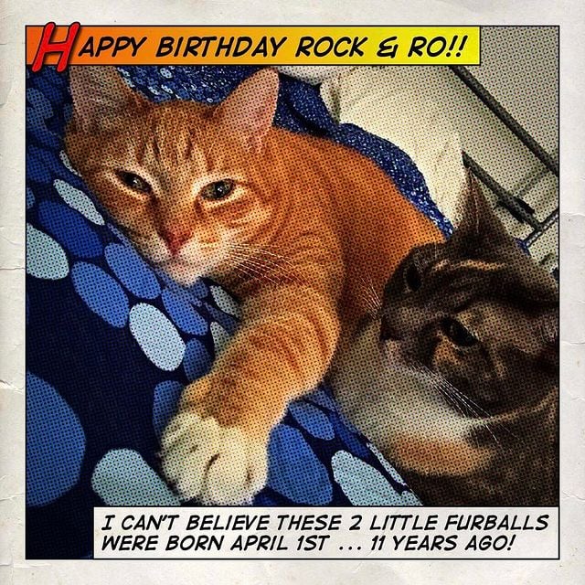 Instagram: Rock & Ro!! 10